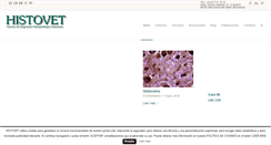 Desktop Screenshot of histoweb.com